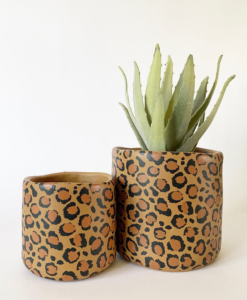 Cheetah Plant Pots