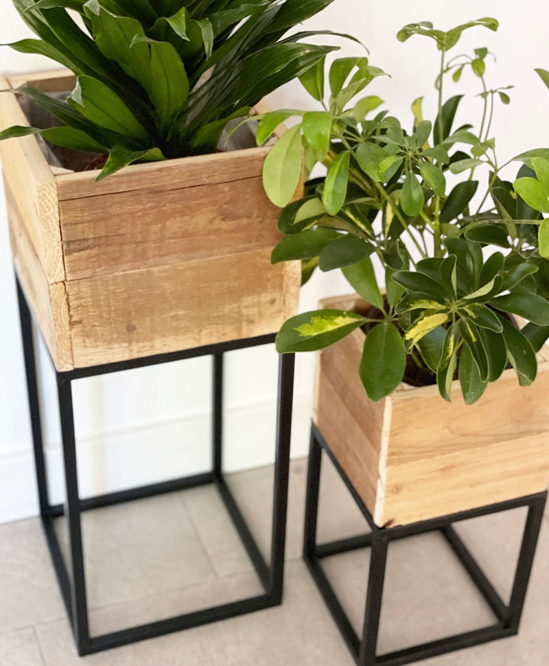 Lined Boxed Planters