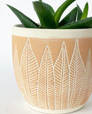 Amazon Plant Pot -Light Pink