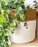 Mushroom Baskets