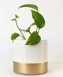 Libson Plant Pot