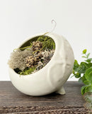 Pottery Pod Collection