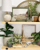 Faux Fiddle Leaf Fig