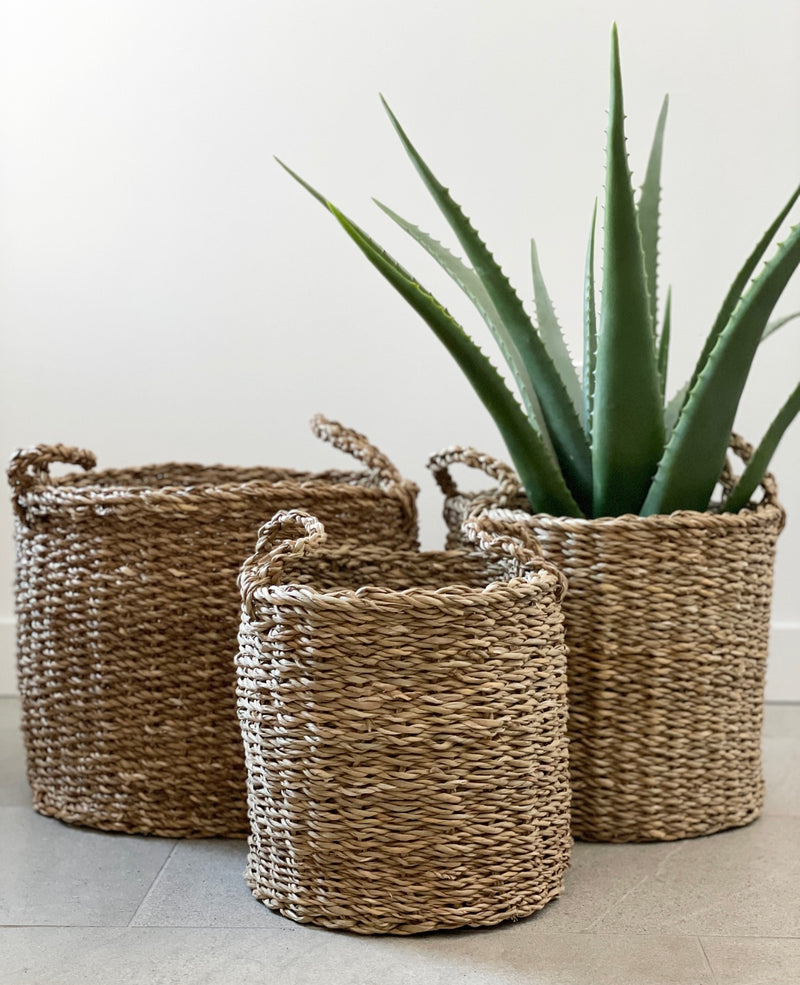 S/3 Stanley Seagrass Baskets