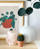 Preserved Silver Eucalyptus Stems