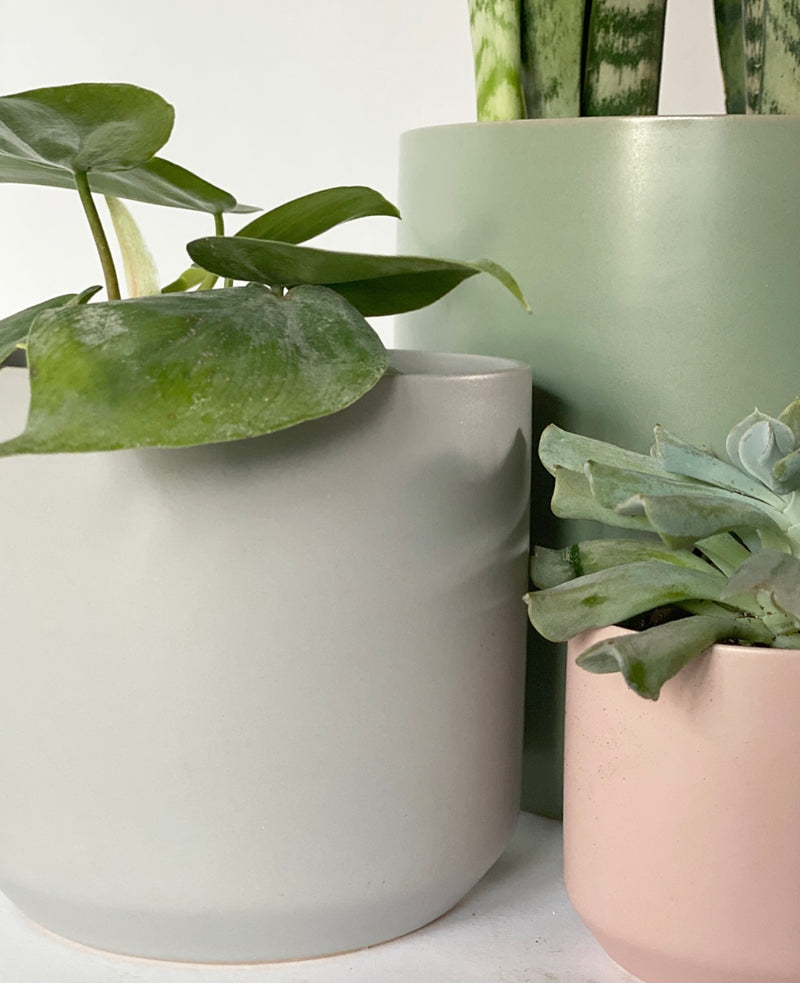 Kendall Grey Pot Collection