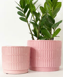 Dolo Plant Pots