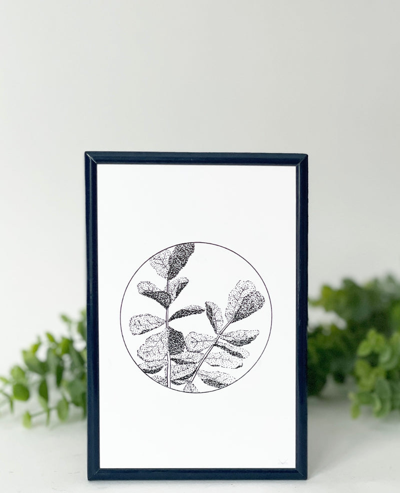 KSP Framed Flora + Fauna Art Prints